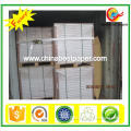 Uncoated 80g Offset Roll Paper